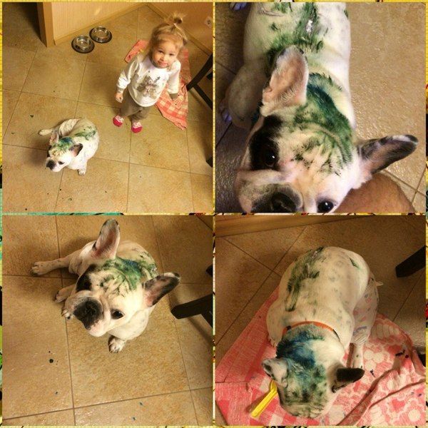 Разные картинки из сети