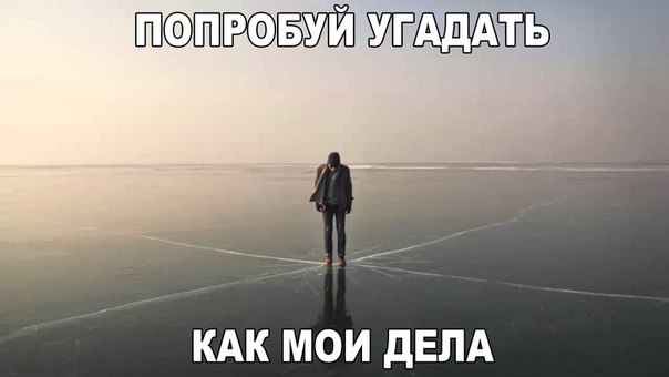 Забавные картинки из Сети
