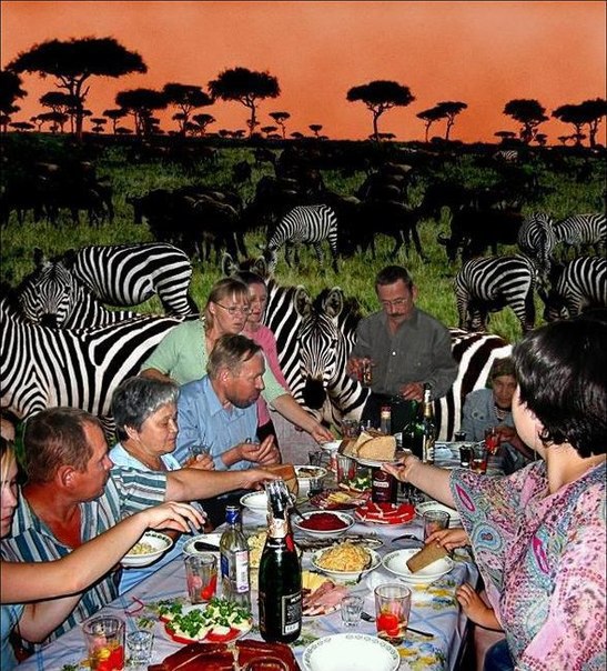 Ужасы и приколы из соцсетей 18+