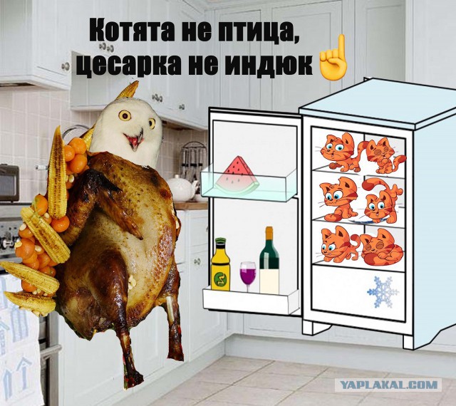 Итоги конкурса "Кулинар ЯПа - 2015"