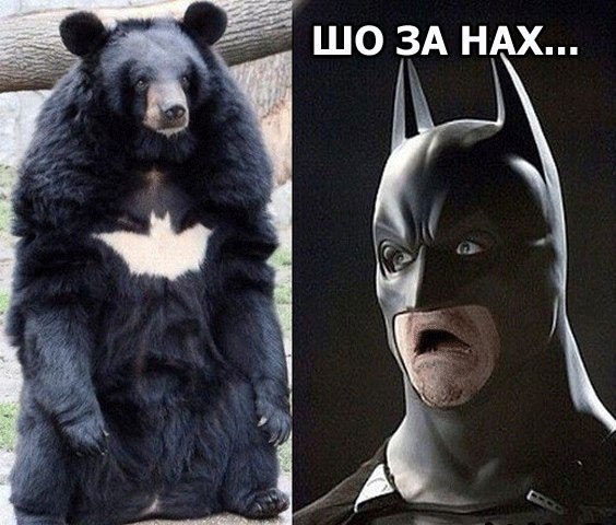 Картинки на утро вторника