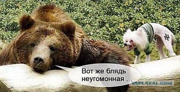 Подборка картинок ни о чём