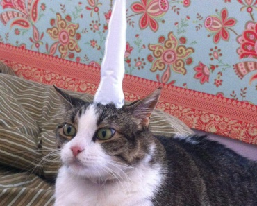 33 бесполезные вещицы, которые хочется купить