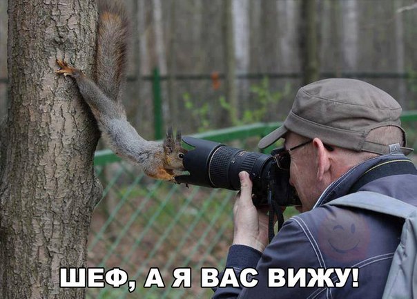 Картинки на пятницу
