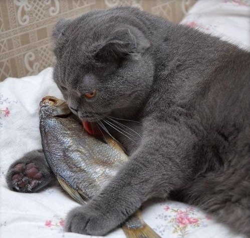 Воскресная подборка картинок