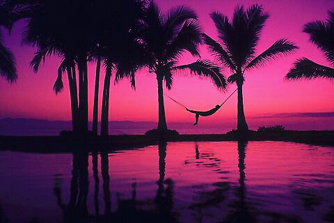 Подборка интересных и веселых картинок