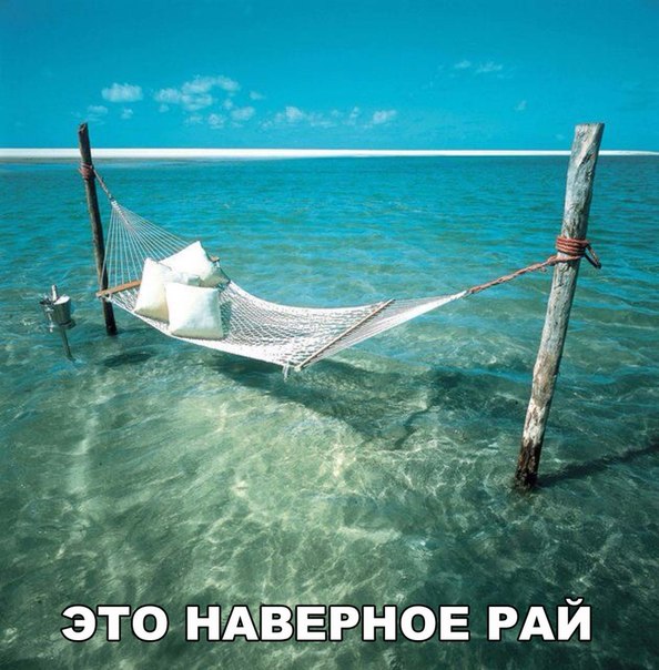 Интересные и веселые картинки