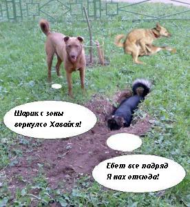 Фотожаба: да здесь где-то недалеко!