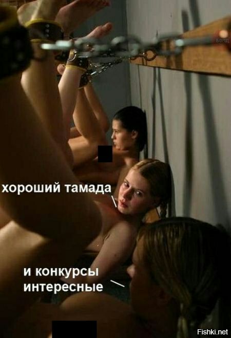 Хороший тамада