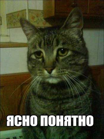 Моя жена - засранка, что делать?