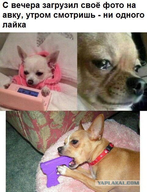 Всякое разное из интернета