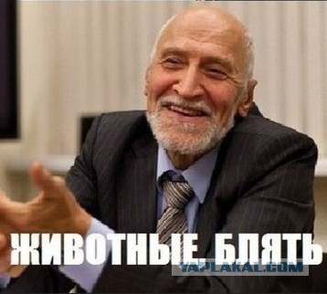 Грязные танцы: снимки с ночных клубов и вечеринок