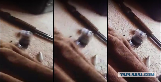 В Псковской области СОБР окружил дом, из которого подростки стреляли по полиции