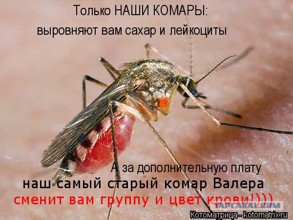 Просто 25 немного странных фото