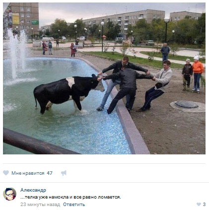 Ужасы и приколы из соцсетей 18+