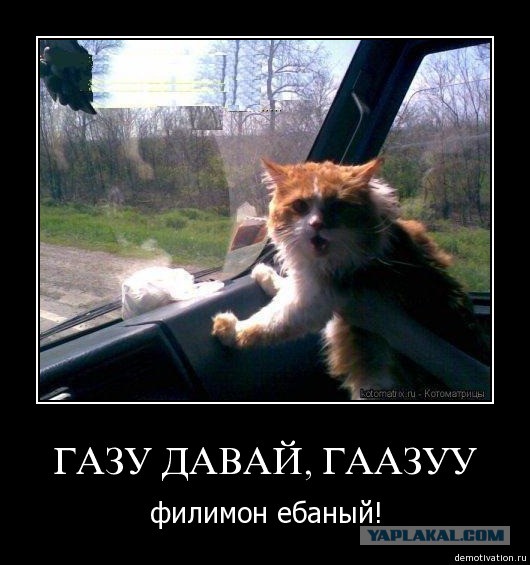 Юмор не для всех