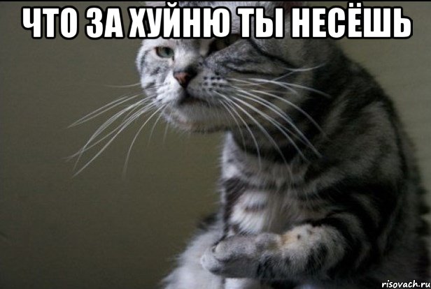 Унижение на собеседовании!