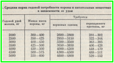 Автолавка. Выжить в русской деревне