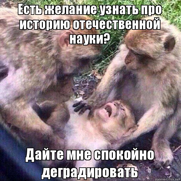 Пятница! Приступим?