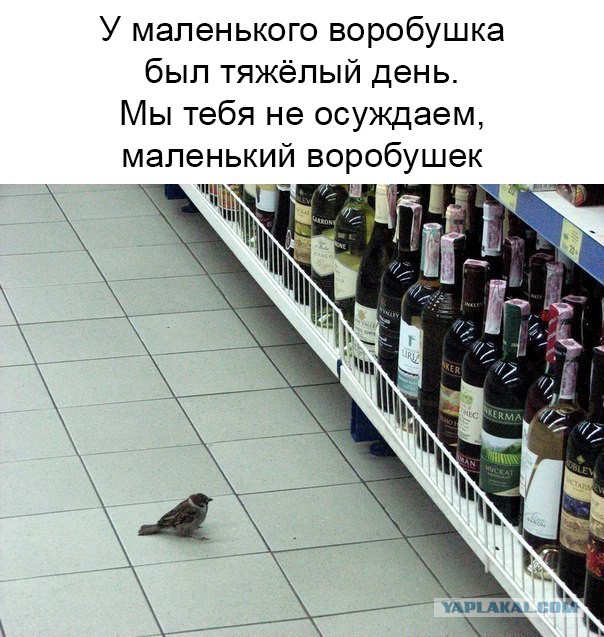 Немного алкоюмора