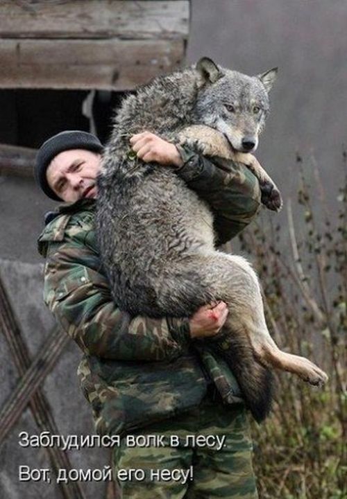 Прикольные картинки