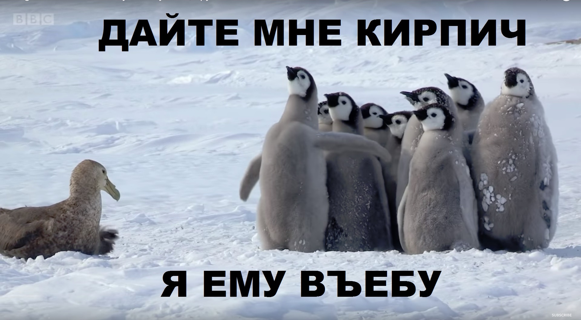 Дай Я Ему Втащу Мем