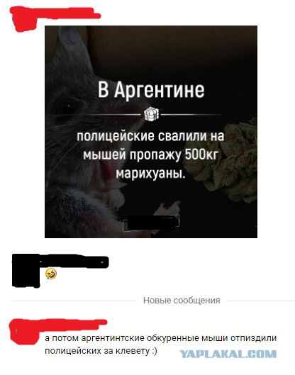 Нестандартный юмор
