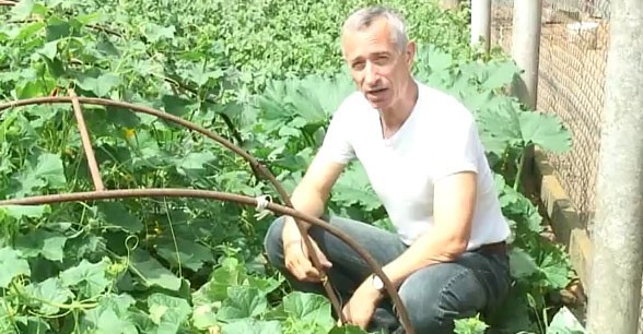 Опасные ноготочки. Молодой кировский депутат обиделся на мем о его ухоженной внешности