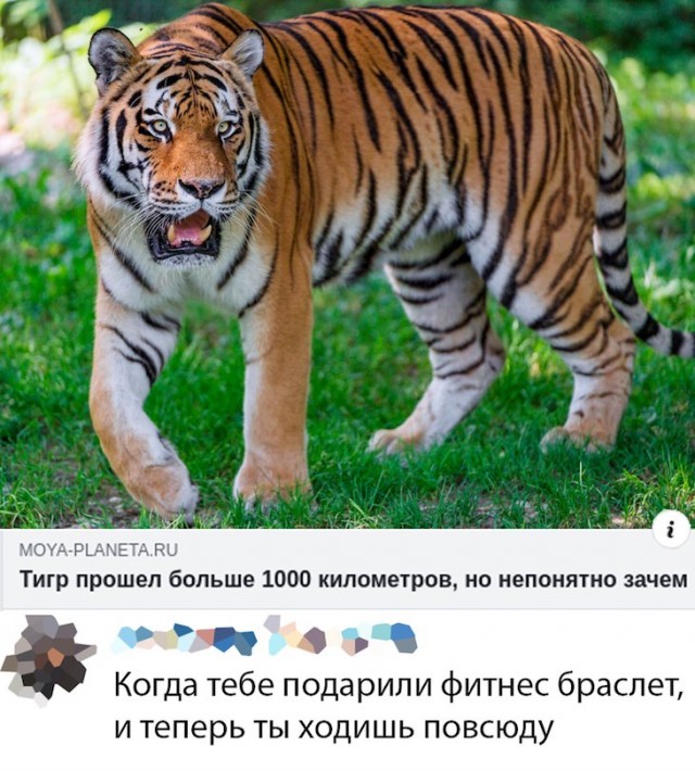 Очередная подборка картинок из интернета 15.12.19