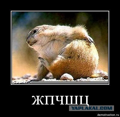 Объявление для Вонни