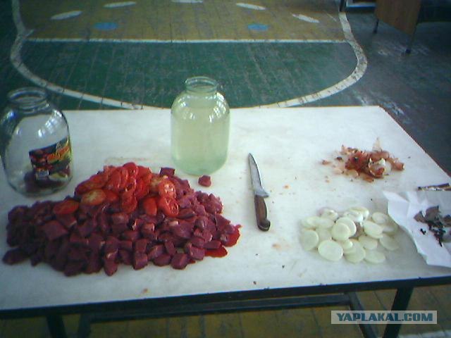 Шашлык, рецепты маринада, все про шашлык!