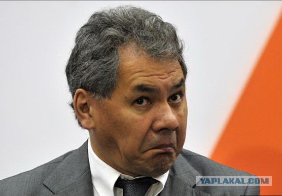 На самом краю географии, где даже дорог нет, увидел две покинутые людьми пятиэтажки. Это Большое Озерко - всеми забытый посёлок
