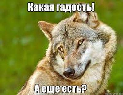 Собрание началось