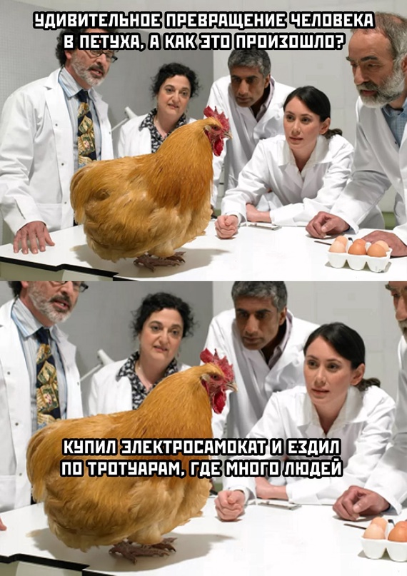 Картинки и мемы, выходные продолжаются