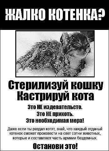 «Заботливые» хозяева