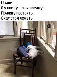Квартиру площадью в один квадратный метр разработала столичная архитектурная студия
