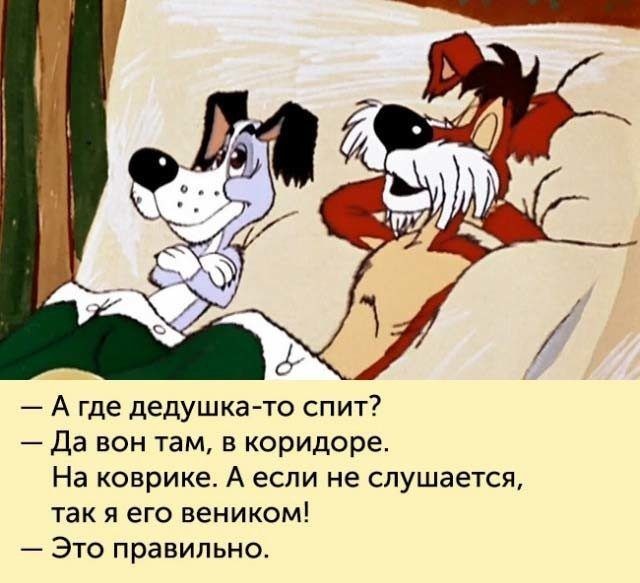 Новый сосед