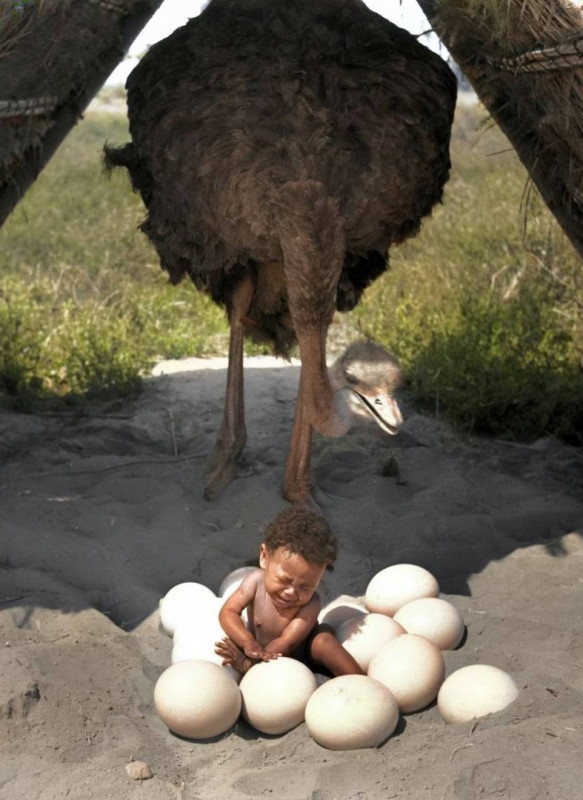 Интересные и редкие ретро-фотографии 24.02.25