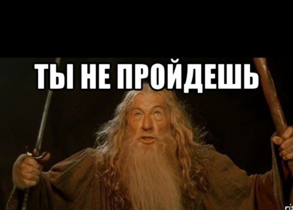 Мой хозяин идиот