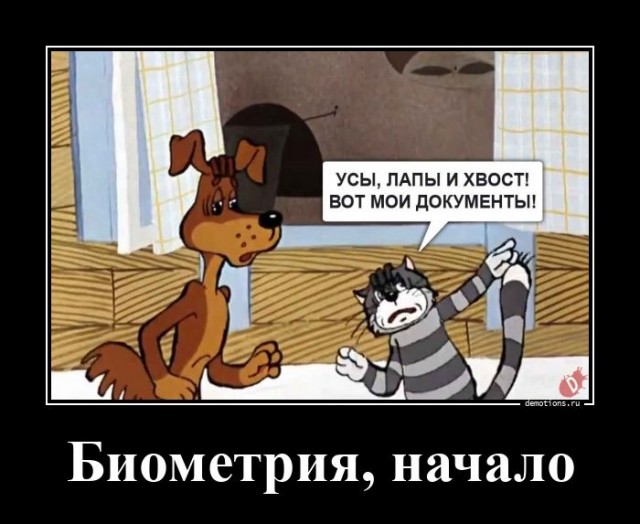 Картинки для деградации 11 (разной степени свежести)