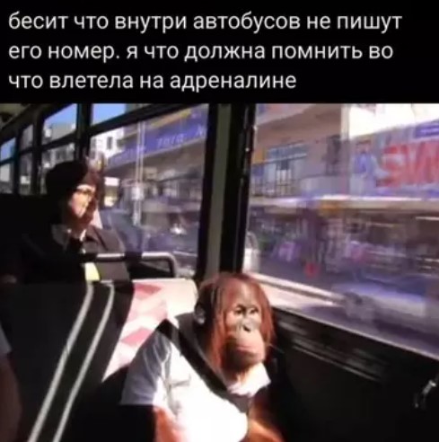Картиночки, баянчики 26 марта