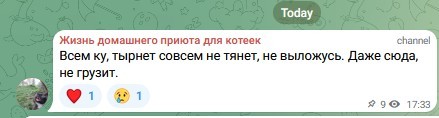 Жизнь домашнего приюта для котеек 576