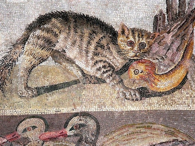 Коты на древнеримских мозаиках