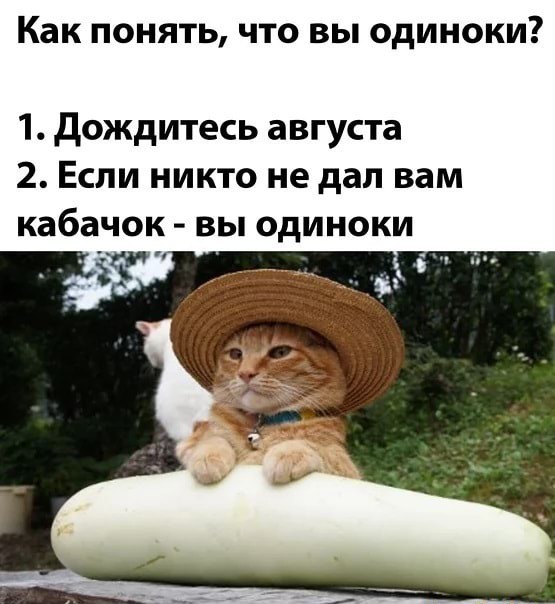 Врата разверзлись. Понеслось!
