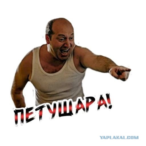 Одного из участников избиения учёного РАН Никиты Зезина задержали, но...