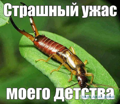 Ценности детей 80-х