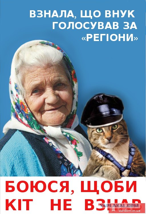 Предвыборный юмор по-украински (коте одобряет)