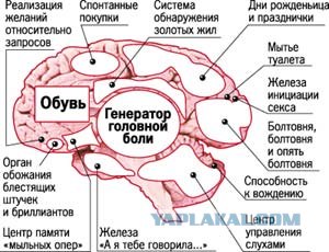 Учёные смогли понять