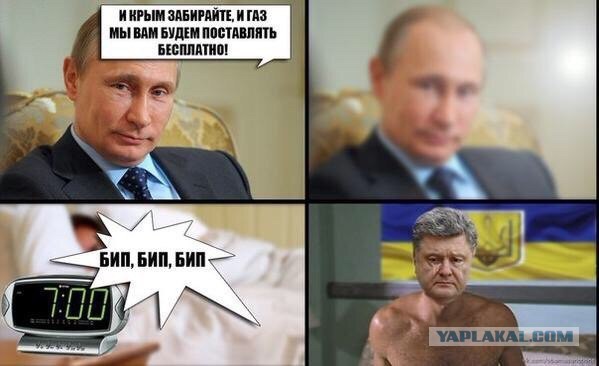 Политотка