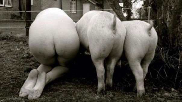 Ужасы и приколы из соцсетей 18+